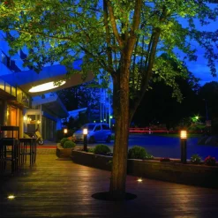 Pullert><noscript><img width=