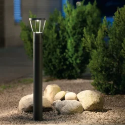 Pullert><noscript><img width=