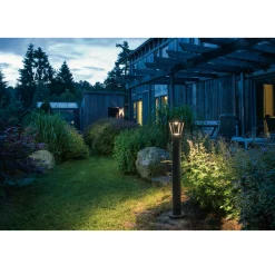 Pullert><noscript><img width=