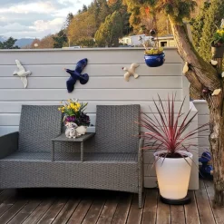 Led-Baller Og Krukker><noscript><img width=