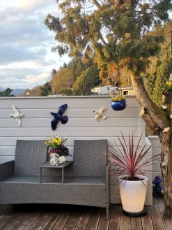 Led-Baller Og Krukker><noscript><img width=