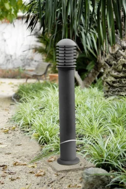 Pullert><noscript><img width=