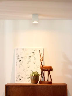 Kjøkkenbelysning Tak|Spotter & Skinner><noscript><img width=