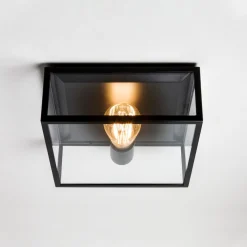 Taklamper Ute|Utendørs Downlights>Astro Lighting Bronte taklampe for utendørsbruk - Matt Svart