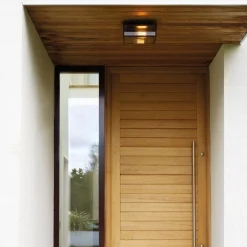 Taklamper Ute|Utendørs Downlights>Astro Lighting Bronte taklampe for utendørsbruk - Matt Svart