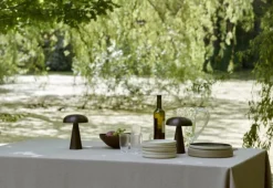 Oppladbare Bordlamper><noscript><img width=