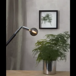 Dekorpære E14|Led-Pærer E14 Sokkel>Star Trading Decoration Globe smoke 80mm, dimbar E14 1,5W - Smoke Hvit