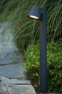 Pullert><noscript><img width=