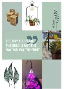 Led-Pærer Plantelys|Led-Pærer E27 Sokkel><noscript><img width=