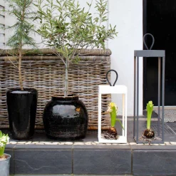 Lykter|Oppladbare Bordlamper><noscript><img width=