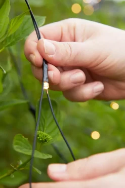 Garden 24 System><noscript><img width=