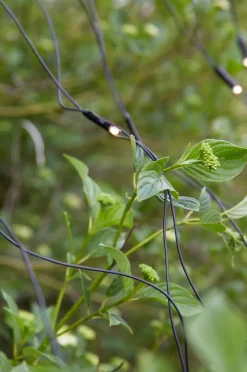 Garden 24 System><noscript><img width=