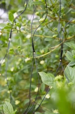 Garden 24 System><noscript><img width=