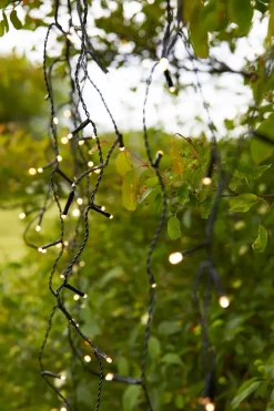 Garden 24 System><noscript><img width=