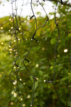 Garden 24 System><noscript><img width=