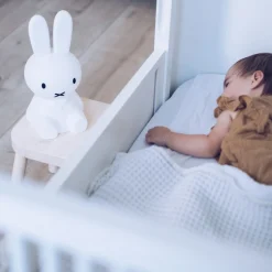 Barneromsbelysning><noscript><img width=