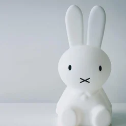 Barneromsbelysning><noscript><img width=