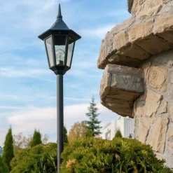 Pullert><noscript><img width=