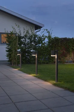 Pullert><noscript><img width=