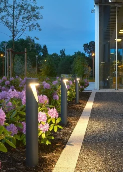 Lightup-Pris|Pullert><noscript><img width=