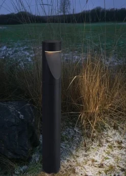 Lightup-Pris|Pullert><noscript><img width=