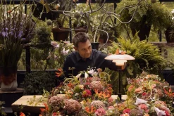 Louis Poulsen><noscript><img width=