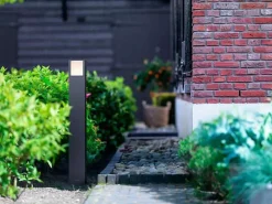 Pullert><noscript><img width=