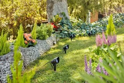 Uplights|Philips Gardenlink>Philips Gardenlink uplight 2700K 6W IP44 start enhet - - - 12Volt Svart