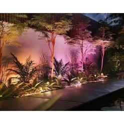 Philips Hue><noscript><img width=