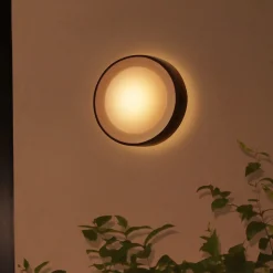 Utelamper - Veggskjold / Plafond|Philips Hue>Philips Hue Daylo vegglampe utendørs white and color ambiance