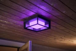 Utelamper - Veggskjold / Plafond|Philips Hue><noscript><img width=