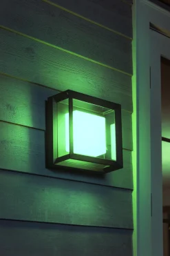 Utelamper - Veggskjold / Plafond|Philips Hue><noscript><img width=