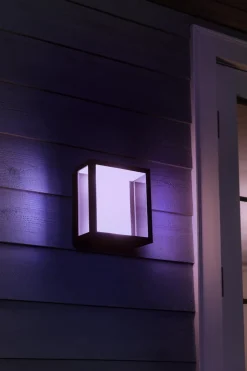 Utelamper - Veggskjold / Plafond|Philips Hue>Philips Hue Impress large vegglampe white ambiance & color luminaires Svart
