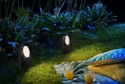 Pullert><noscript><img width=