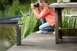 Pullert><noscript><img width=