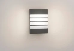 Utelamper - Veggskjold / Plafond>Philips myGarden Raccoon vegglampe utendørs 3W IP44 - Antrasitt