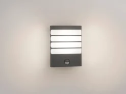 Utelamper - Veggskjold / Plafond>Philips myGarden Raccoon vegglampe utendørs 3W IP44 m/bevegelses sensor IR