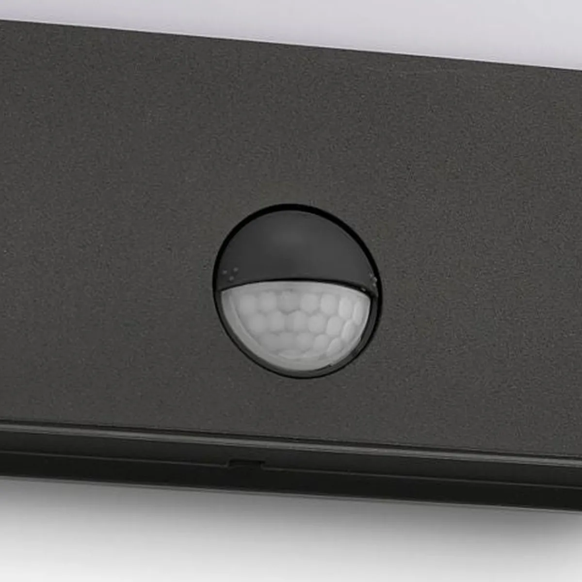 Utelamper - Veggskjold / Plafond>Philips myGarden Raccoon vegglampe utendørs 3W IP44 m/bevegelses sensor IR