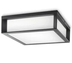 Utelamper - Veggskjold / Plafond>Philips Skies vegg/taklampe utendørs IP44 E27