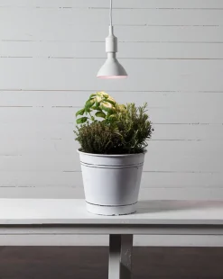 Led-Pærer Plantelys|Led-Pærer E27 Sokkel><noscript><img width=