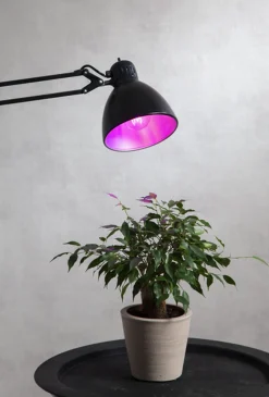 Led-Pærer Plantelys|Led-Pærer E27 Sokkel>Star Trading Plantelys 6,5W, LED Rød