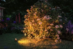 Spot På Spyd|Plug & Shine System>Paulmann Plug & Shine Sting spot med spyd 6,4W 3000 Kelvin IP67 Antrasitt