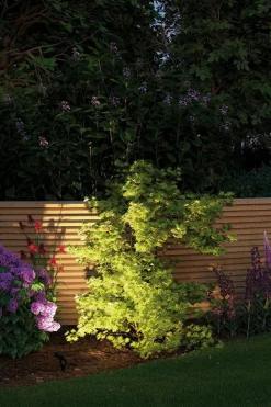 Spot På Spyd|Plug & Shine System><noscript><img width=