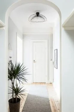 Kjøkkenbelysning Tak|Taklamper / Takplafonder>Globen Lighting Ray tak/vegglampe - Svart