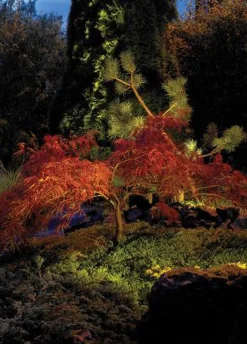 Lightup-Pris|Uplights>Norlys Rena 1555 uplight firkantet IP68 5,5W Stål / Frostet glass