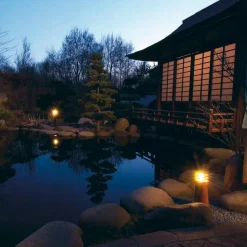 Pullert><noscript><img width=