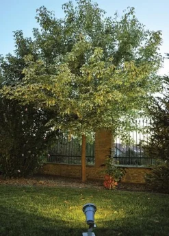 Lightup-Pris|Spot På Spyd>Norlys Sande spot 1592 Grafitt