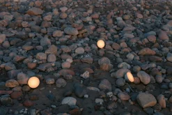 Oppladbare Bordlamper><noscript><img width=