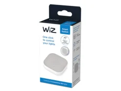 Wiz><noscript><img width=